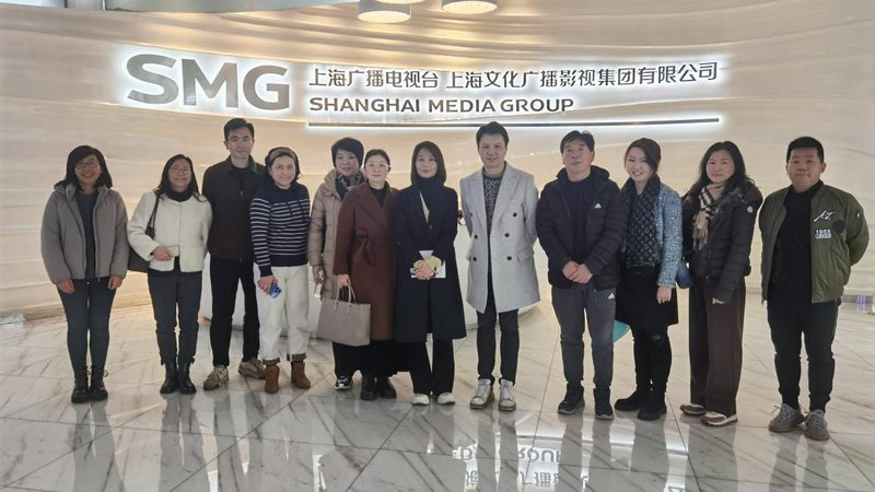 VI设计流程：揭秘步骤与常见问题解析**