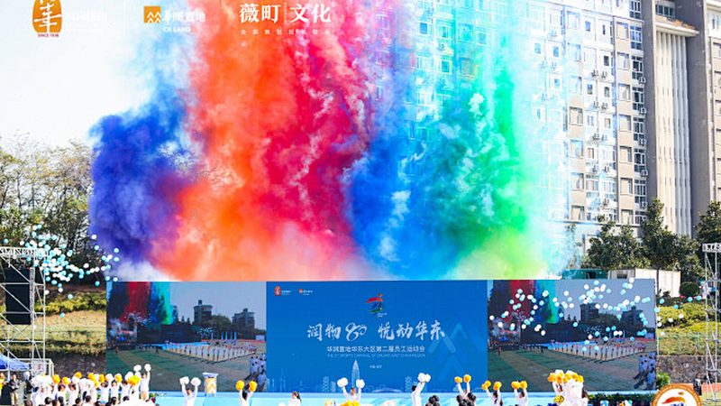 动画制作与影视制作：行业标准对比解析